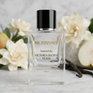 Inspired By VICTORIA SECRAT TEASE