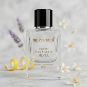 Inspired By ZARA MAN SILVER