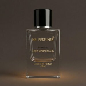 Inspired By ZARA WARM BLACK